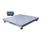 Brecknell DCSB4848-10, 10,000 x 2lb / 5,000 x 1kg , Steel deck 48in. x48in., SBI-240 Indicator, NTEP Apprvd 810036380065 - alternate 3